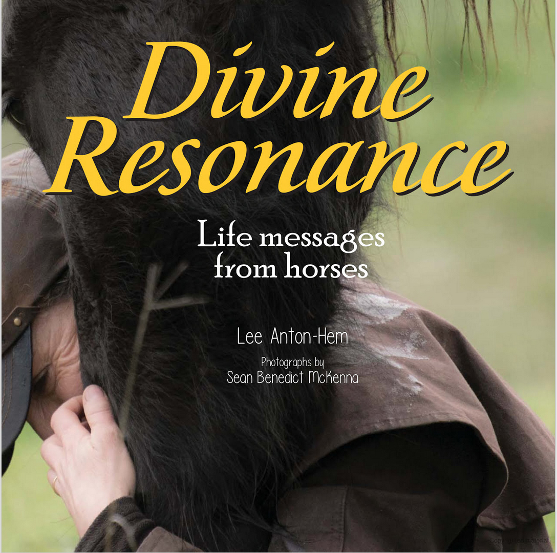 Lee Anton-Hem’s book